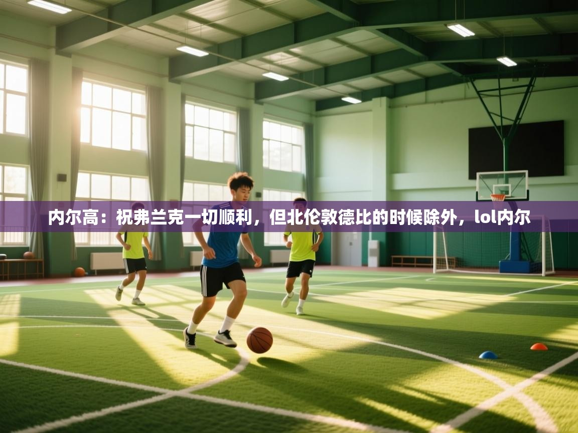 内尔高：祝弗兰克一切顺利，但北伦敦德比的时候除外，lol内尔  第1张