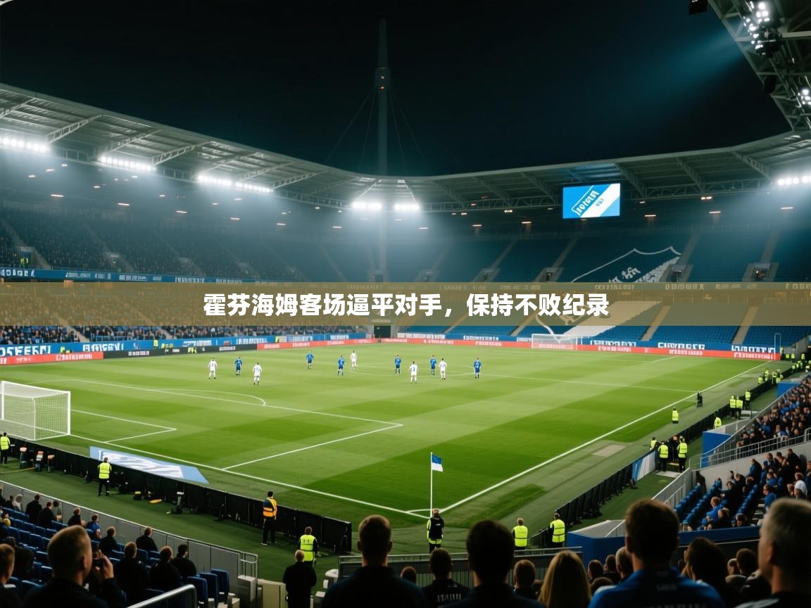 霍芬海姆客场逼平对手，保持不败纪录  第1张