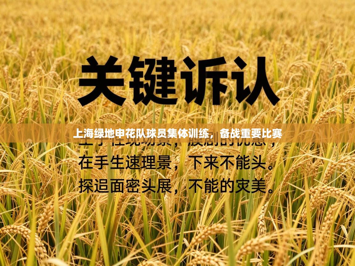 上海绿地申花队球员集体训练，备战重要比赛  第1张