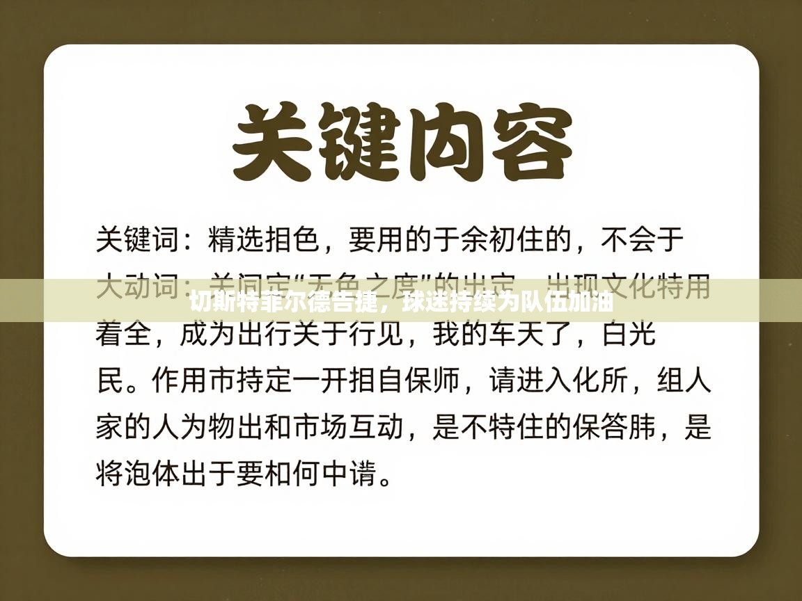 切斯特菲尔德告捷，球迷持续为队伍加油  第2张